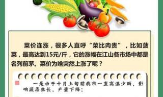 菜比肉贵到底是为什么