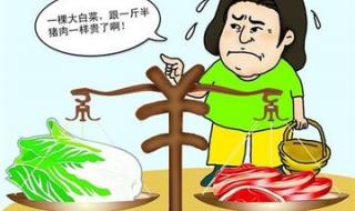 菜比肉贵到底是为什么